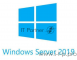 Операционная система Microsoft Windows Rmt Dsktp Svcs CAL 2019 MLP 5 User CAL 64 bit Eng BOX (6VC-03805)