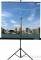 [LEV-100106] Экран на штативе Lumien Eco View 153x153см (раб.область 147х147 см) Matte White с возможностью настенного крепления 1:1