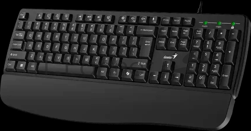 Клавиатура проводная Genius KB-123 /вогнутые клавиши/подставка для ладоней/защита от проливания/USB/кабель 1.5м/черный (31300021402)