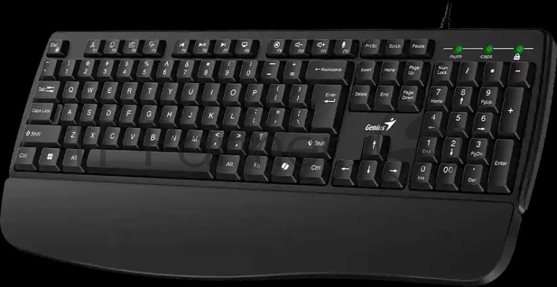 Клавиатура проводная Genius KB-123 /вогнутые клавиши/подставка для ладоней/защита от проливания/USB/кабель 1.5м/черный (31300021402)