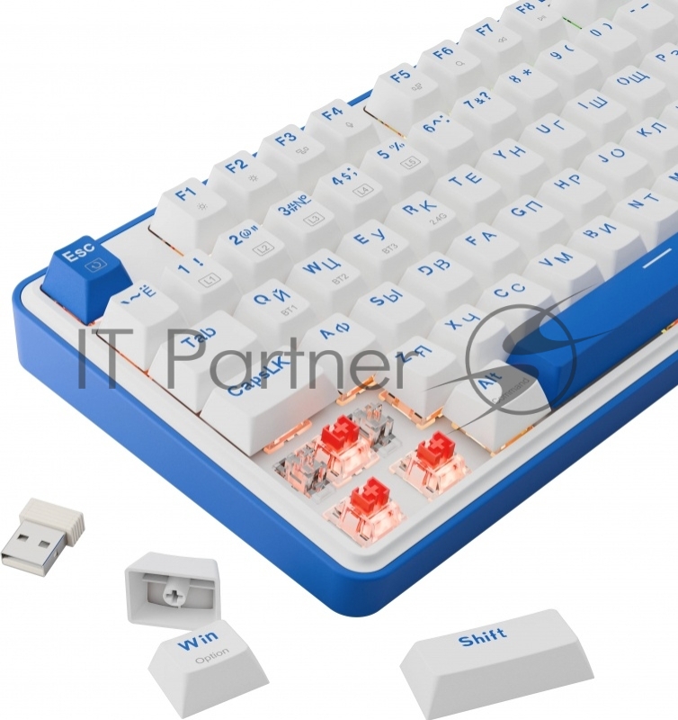 Беспроводная клавиатура Redragon Faye Pro RU,RGB,бел/син,BT+2.4G,гаскет_1