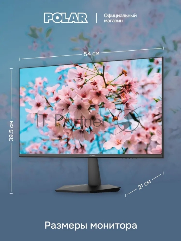 Монитор POLAR P24F12M