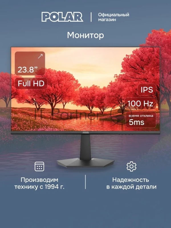 Монитор POLAR P24F12M