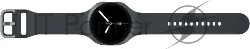 Смарт-часы Samsung Galaxy Watch 8 1.34 Super AMOLED корп.графитовый рем.графитовый (SM-L320NDAAMEA)