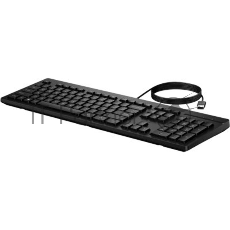 клавиатура проводная Keyboard HP 125 Wired (black)