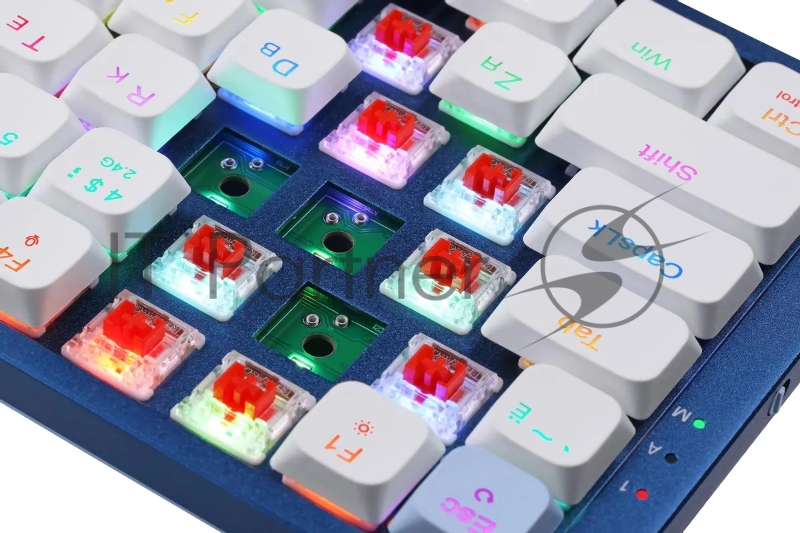 Клавиатура Redragon Eva Pro гибридная, USB Type-A, Bluetooth, радиоканал, белый/синий