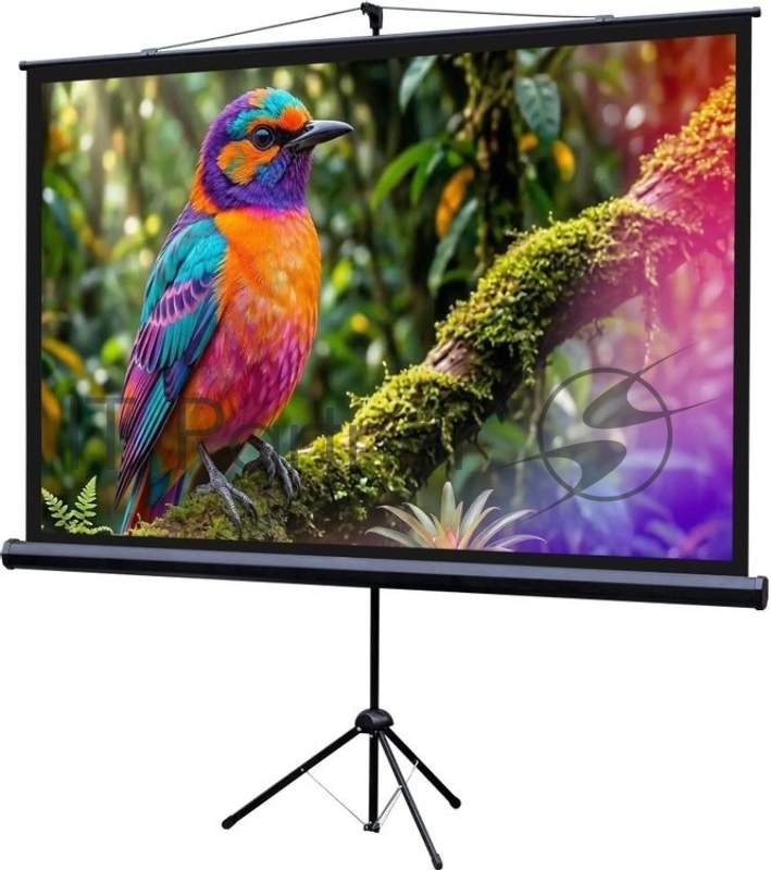 Экран на штативе Lumien Eco View 130x227см (раб.область124х221 см) (100) Matte White 16:9
