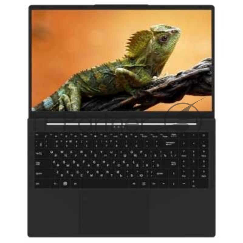 Ноутбук Rikor Pro 5 15 OH-03/15.6/IPS/Intel Core i5 1235U/16GB/512GB SSD/Iris Xe Graphics/Windows 11 Professional/черный/1.65kg