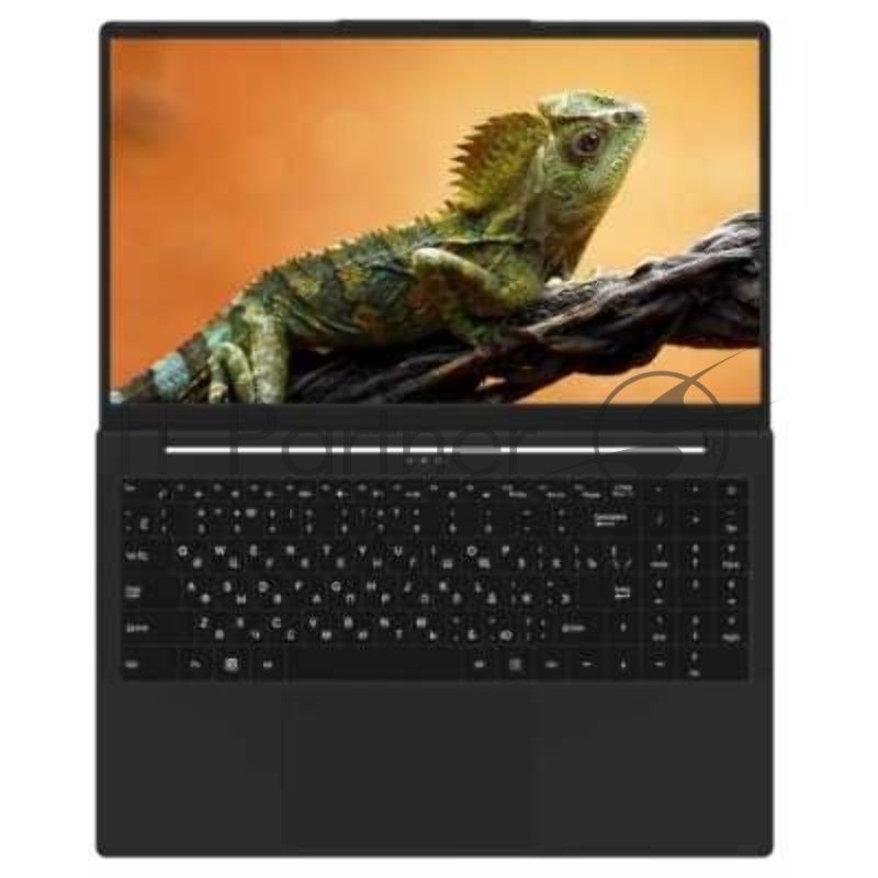 Ноутбук Rikor Pro 3 15 OH-03/15.6/Intel Core i3-1220P/16Gb/512Gb SSD/Intel Iris Xe Graphics/Windows 11 Professional/черный/1.65kg