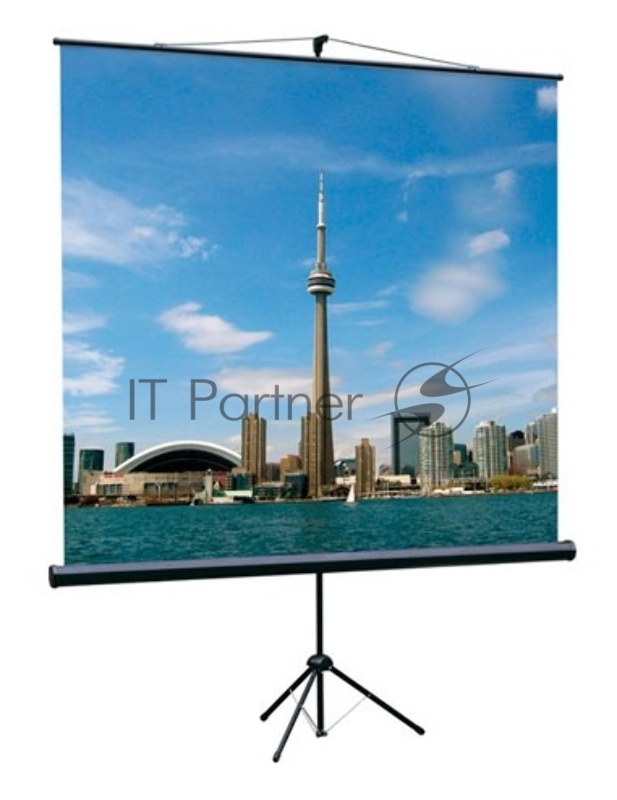 Экран на треноге Lumien 180x180 см Eco View LEV-100102 1:1 напольный рулонный