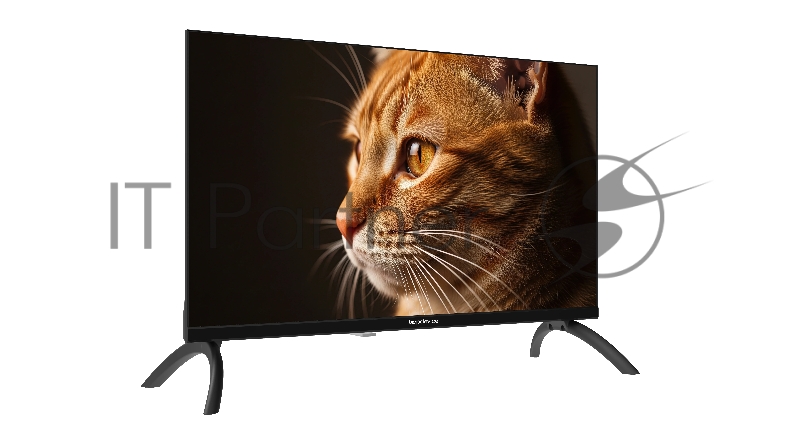 Телевизор Topdevice 24/HD/IPS/без Smart/60 Гц/черный (TDHTV24NHD_BK)