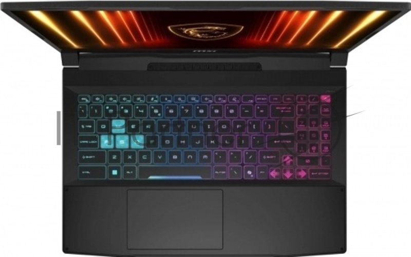 Ноутбук MSI Katana 17 HX B14WGK-298XBY/17.3/IPS/Intel Core i7 14650HX/16GB/1024GB SSD/NVIDIA GeForce RTX 5070 8GB/DOS/черный/2.7kg