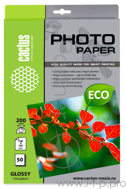Бумага CACTUS CS-GA620050E Фотобумага для струйной печати, 200г/м2, 50 листов