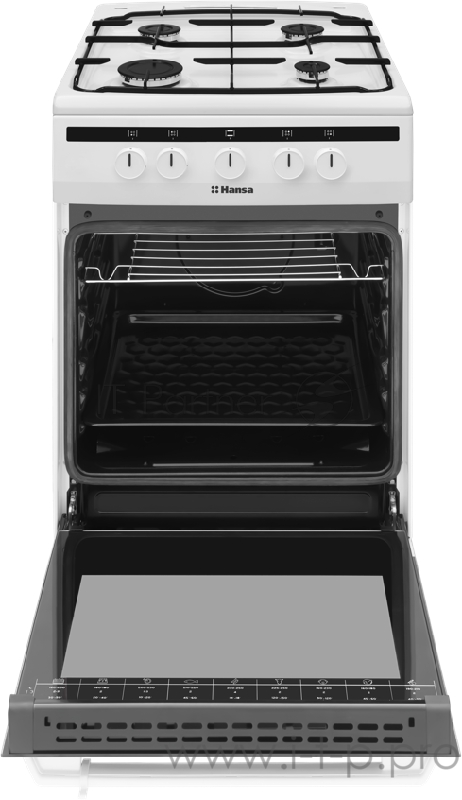 Газовая плита Hansa FCGW51003 белый