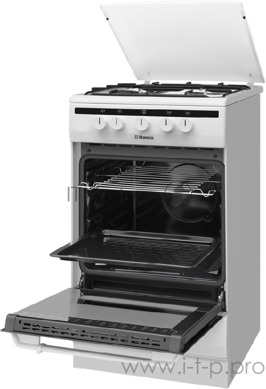 Газовая плита Hansa FCGW51003 белый
