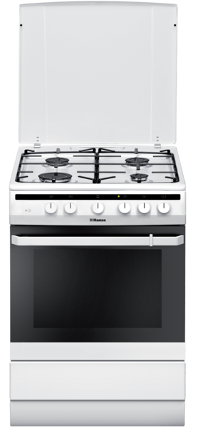 Газовая плита Hansa FCGW63100 белый