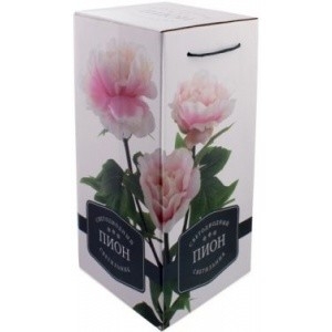 Светильники настольные СТАРТ (4680024813266) Декоративный светильник на светодиодах. 3 светодиода. LED Пион3 розовый