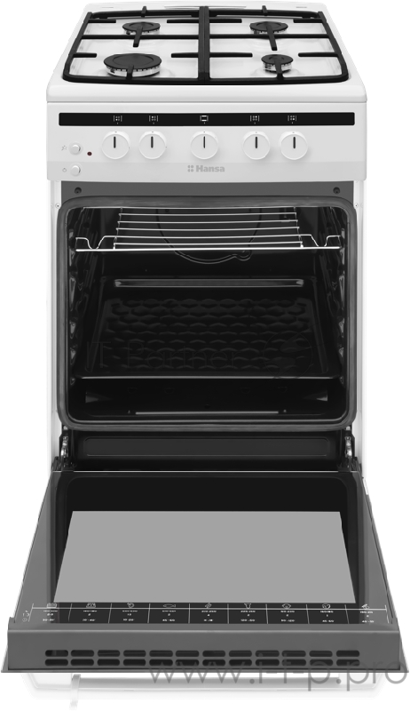 Газовая плита Hansa FCGW52021 белый