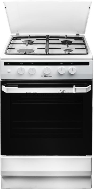 Газовая плита HANSA FCGW51050 белый