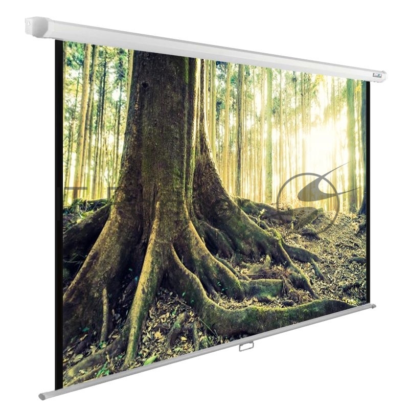 Экран Cactus 220x220см WallExpert CS-PSWE-220x220-WT 1:1 настенно-потолочный рулонный