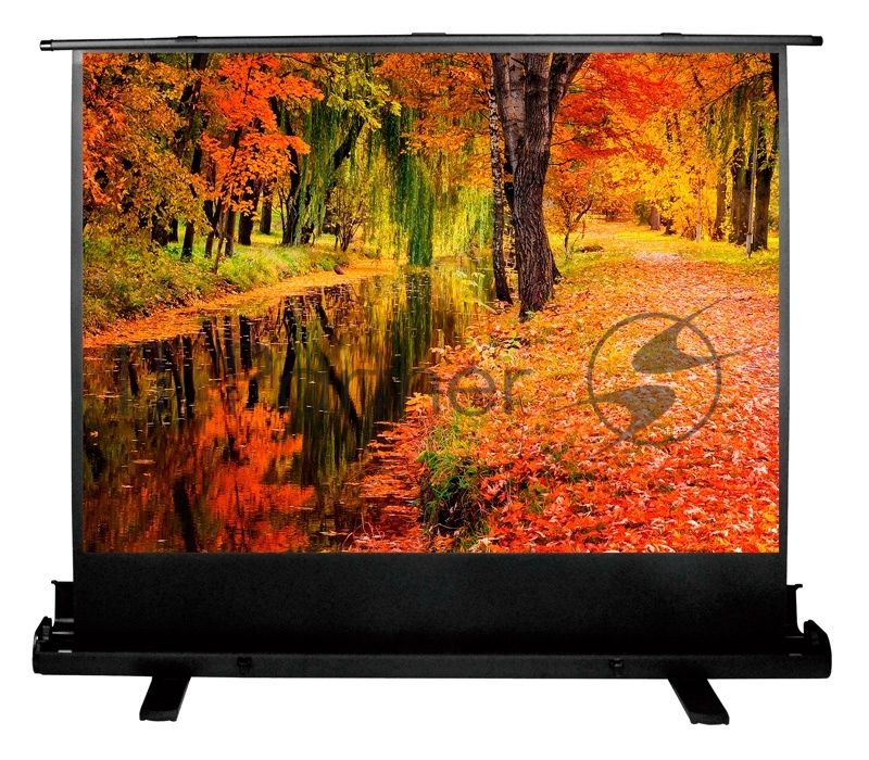 Экран Cactus 150x200см FloorExpert CS-PSFLE-200X150 4:3 напольный рулонный