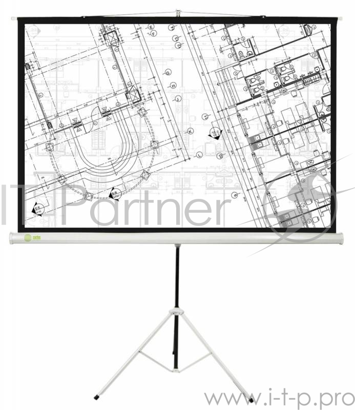 Экран Cactus 127x127см Triscreen CS-PST-127X127 1:1 напольный рулонный белый