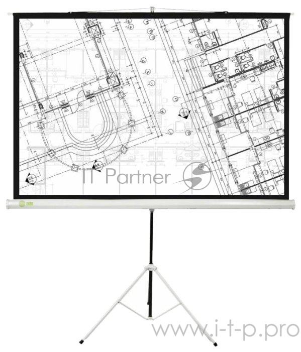 Экран Cactus 127x127см Triscreen CS-PST-127X127 1:1 напольный рулонный белый