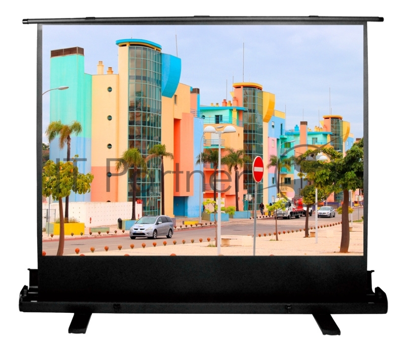 Экран Cactus 120x160см FloorExpert CS-PSFLE-160X120 4:3 напольный рулонный