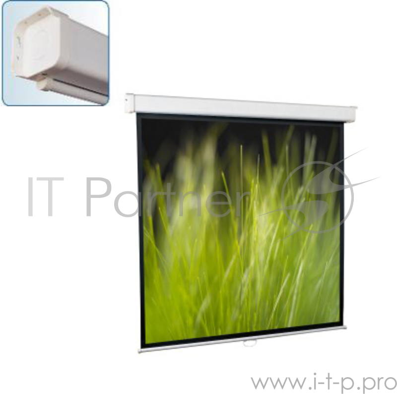 Настенный экран Goldview 213*213 MW