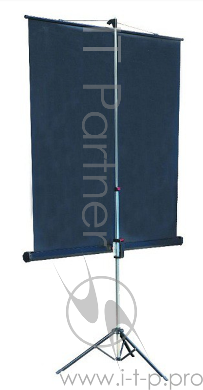 Экран на треноге Lumien 153x203см Master View LMV-100107 4:3 напольный рулонный