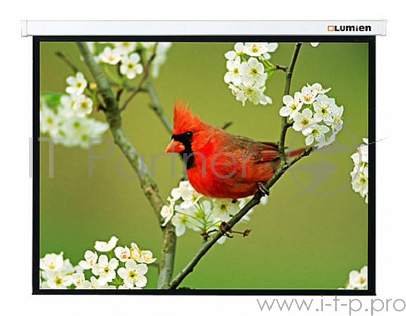 Экран Lumien 305x305см Master Picture LMP-100107 1:1 настенно-потолочный рулонный