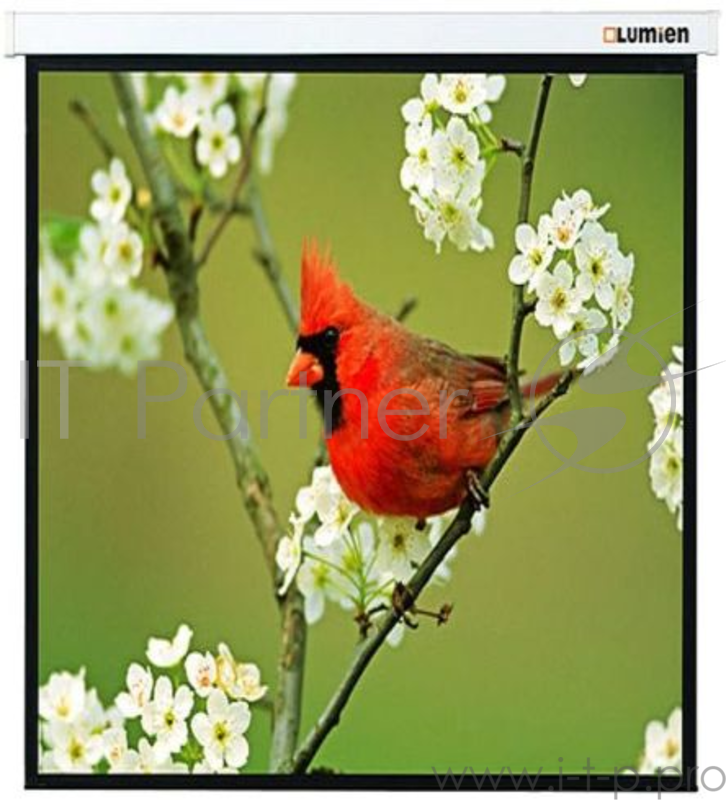 Экран Lumien 220x220см Master Picture LMP-100129 1:1 настенно-потолочный рулонный