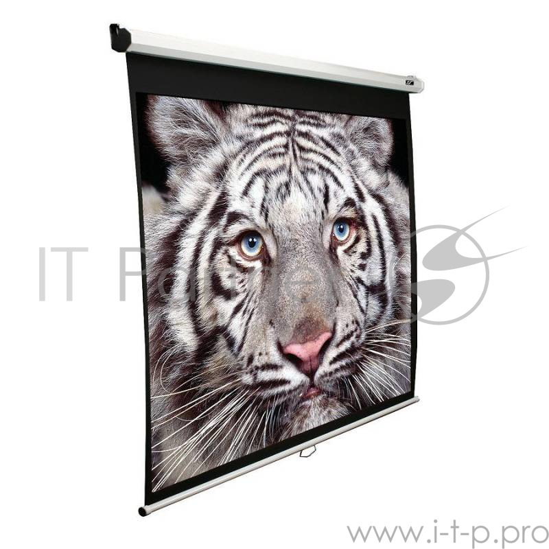Экран Elite Screens 124.5x221см Manual M100XWH 16:9 настенно-потолочный рулонный белый