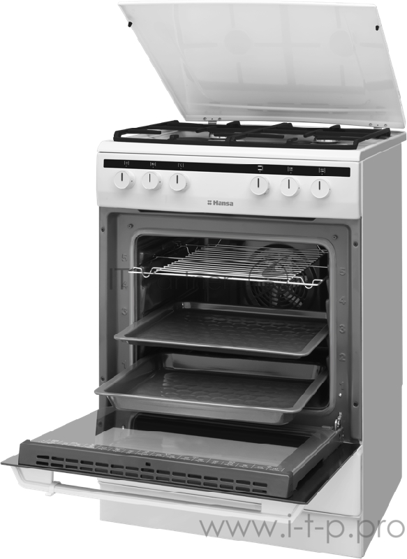 Плита Комбинированная Hansa FCMW68020 белый