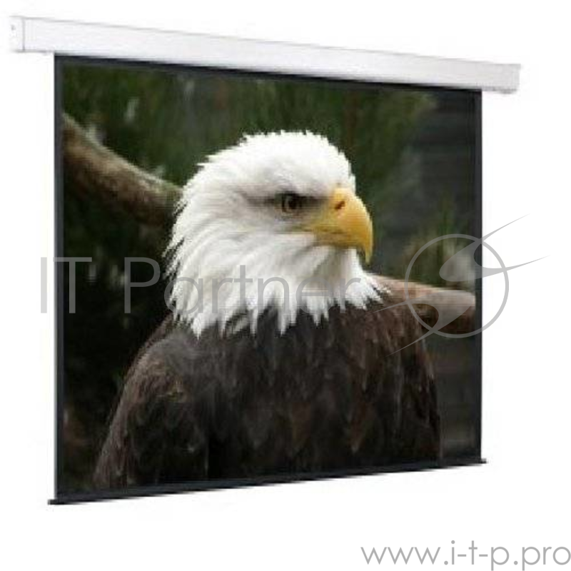 Экран с электроприводом Champion 366*274 MW