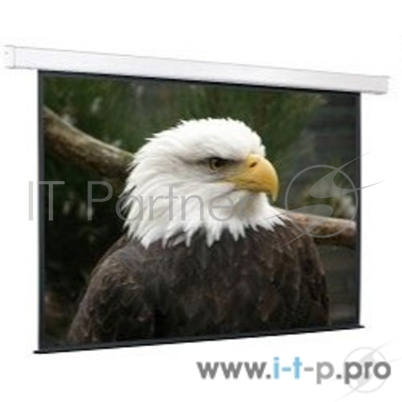 Экран с электроприводом ScreenMedia SCM-1106 Champion 244x244 см Matte White 1:1
