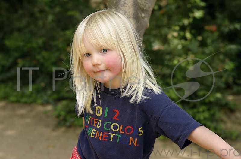 Объектив Tamron SP AF28-75mm F/2.8 XR Di LD Aspherical (IF) Macro A09E для Canon