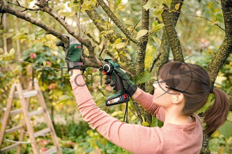 Электрическая цепная пила Bosch AdvancedCut 18 Set 18Вт дл.шин.:10 (25cm)