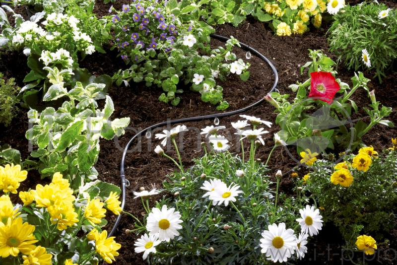 Шланг Gardena 01362-20.000.00 3/16 15м