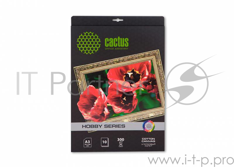 Холст Cactus CS-СA326010 A3/300г/м2/10л./белый для струйной печати