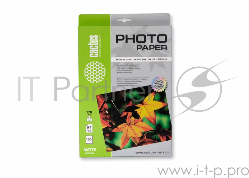 Фотобумага Cactus CS-MA4170100 A4/170г/м2/100л./белый матовое для струйной печати