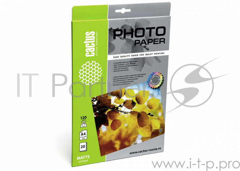 Фотобумага Cactus CS-MA412020 A4/120г/м2/20л./белый матовое для струйной печати