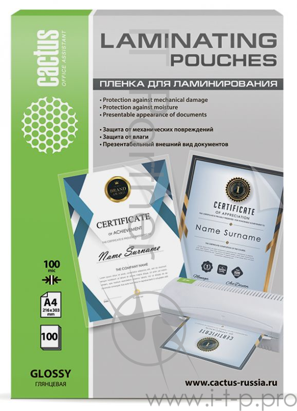 Пленка для ламинирования Cactus 100мкм A4 (100шт) глянцевая 216x303мм CS-LPGA4100100