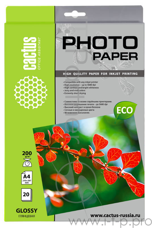 Фотобумага Cactus CS-GA420020E A4/200г/м2/20л./белый глянцевое для струйной печати