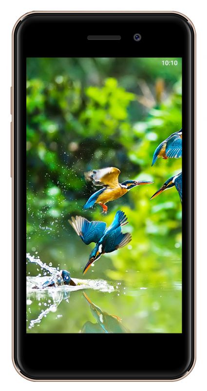 Мобильный телефон Смартфон Digma A453 3G Linx 8Gb золотистый {3G 2Sim 4.5