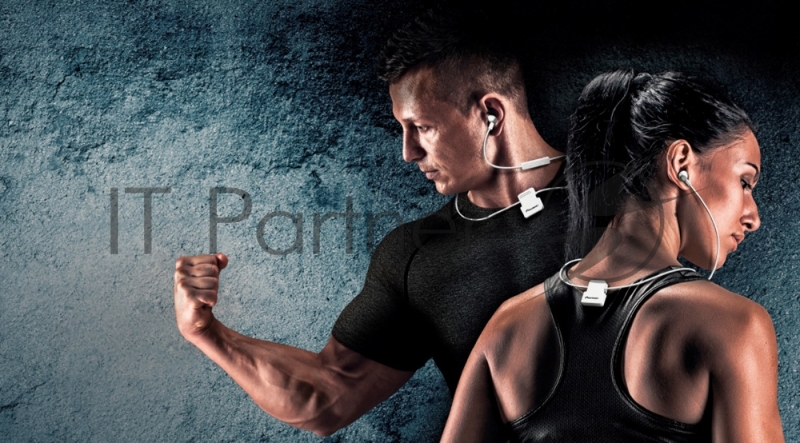 Гарнитура вкладыши Pioneer SE-CL6BT-W белый беспроводные bluetooth (шейный обод)