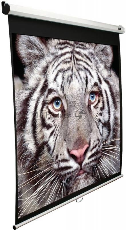 Экран Elite Screens 203x203см Manual M113NWS1 1:1 настенно-потолочный рулонный белый