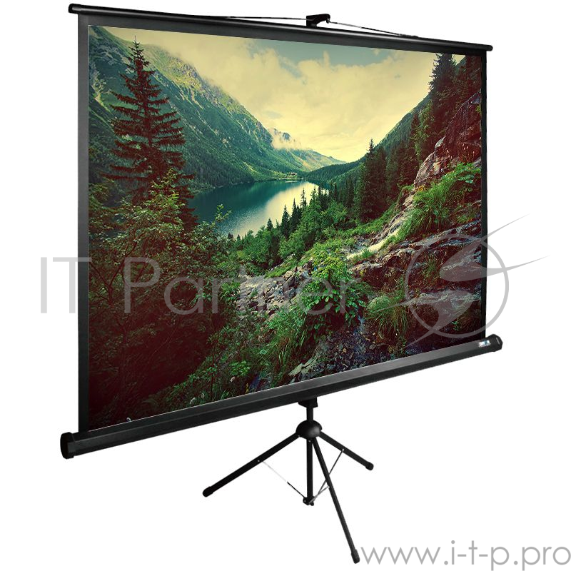 Экран Cactus 220x220см TriExpert CS-PSTE-220х220-BK 1:1 напольный рулонный