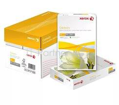 Бумага COLOTECH с покрытием Gloss Coated FSCMX SRA3 350gsm (250листов) Кратно 2 штуки