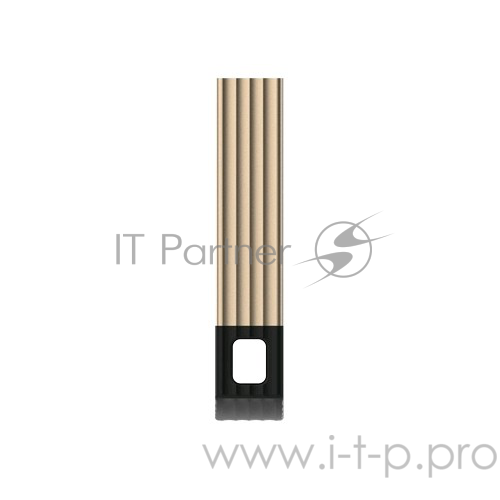 Флеш Диск 32GB SILICON POWER Touch T20 Champague, SP032GBUF2T20V1C, USB 2.0